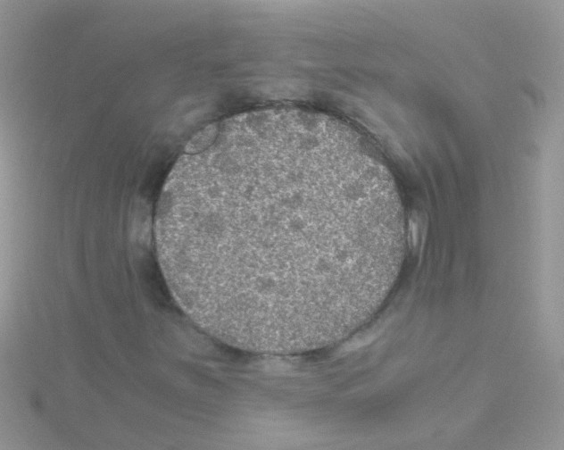 X0000114391251200911271451