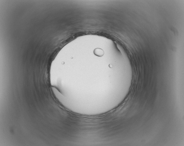 X0000114391252200911271451