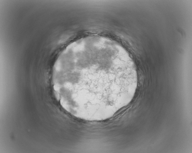 X0000114391253200911271451