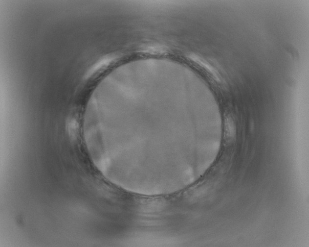 X0000114391254200911271451