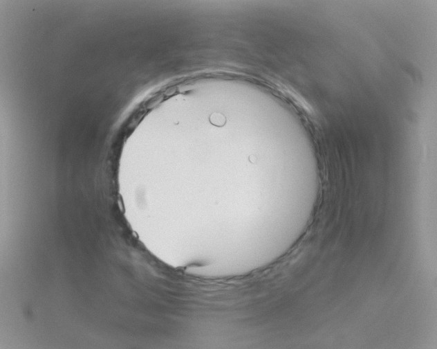 X0000114391256200911271451