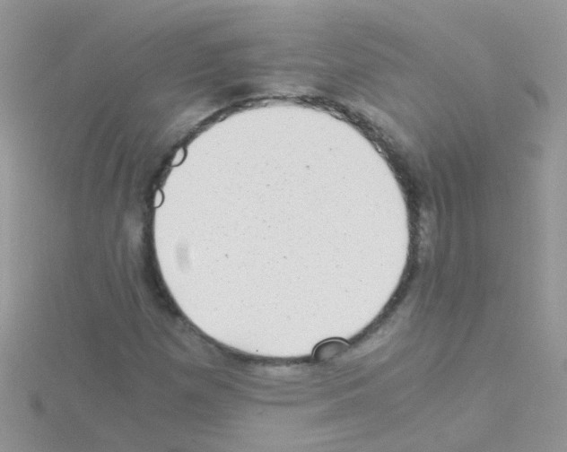 X0000114391257200911271451