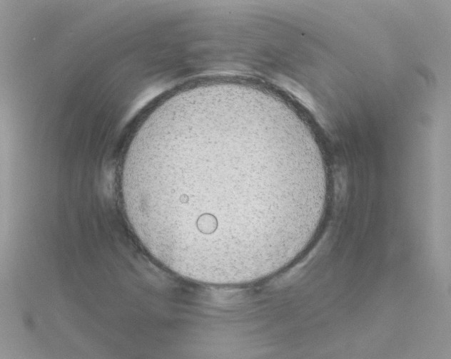 X0000114391258200911271451