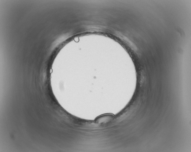 X0000114391261200911271451