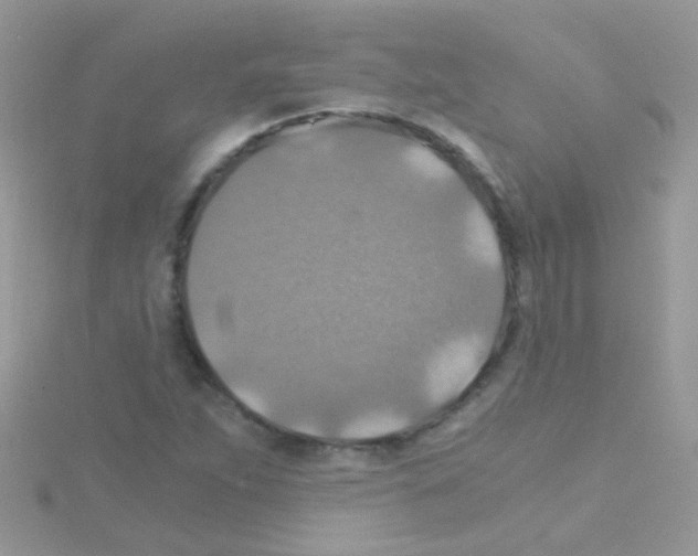 X0000114391263200911271451