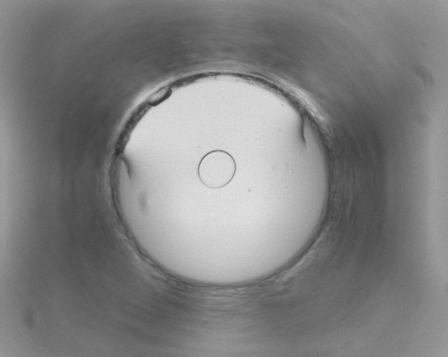 X0000114391264200911271451