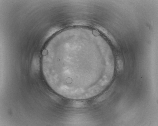 X0000114391266200911271451