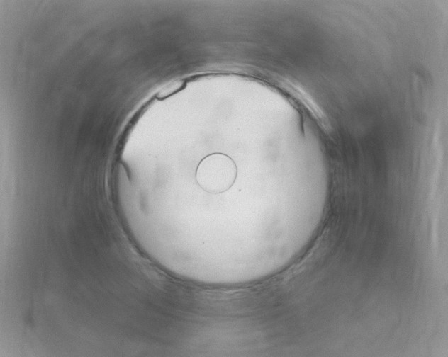 X0000114391268200911271451