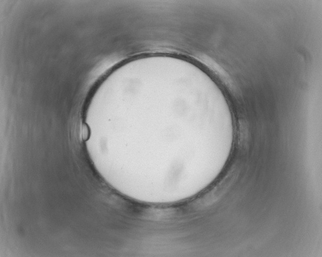 X0000114391269200911271451