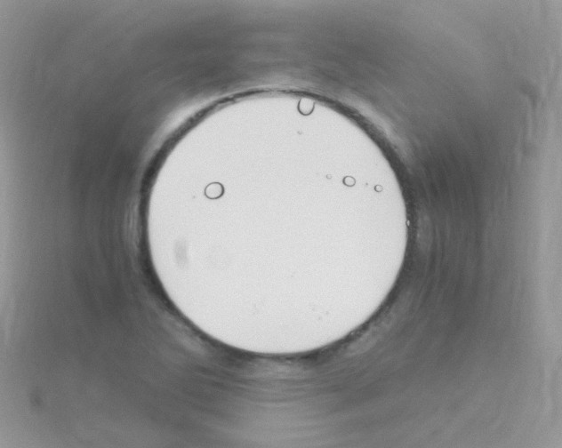 X0000114391270200911271451