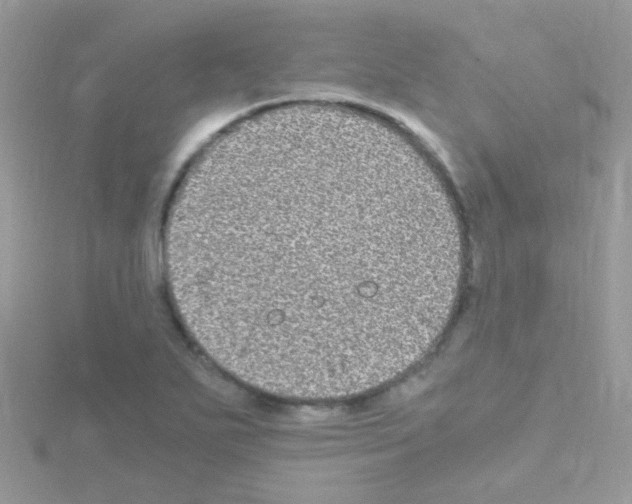 X0000114391271200911271451