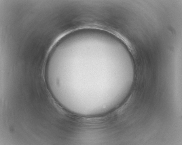 X0000114391272200911271451