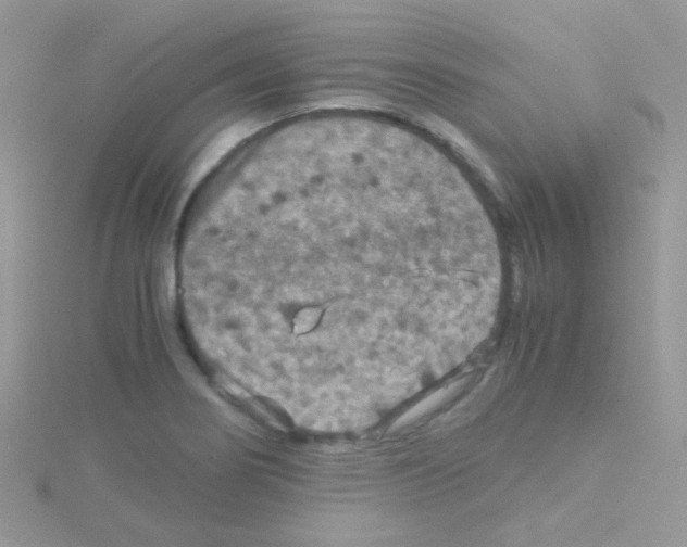 X0000114391274200911271451