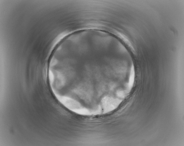 X0000114391275200911271451