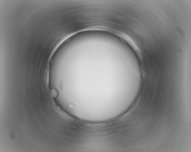 X0000114391276200911271451