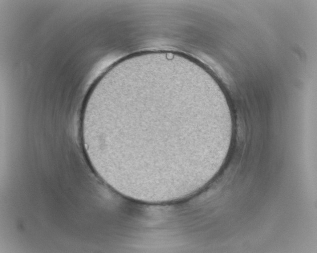 X0000114391277200911271451