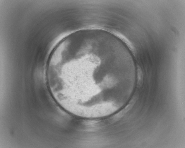 X0000114391278200911271451