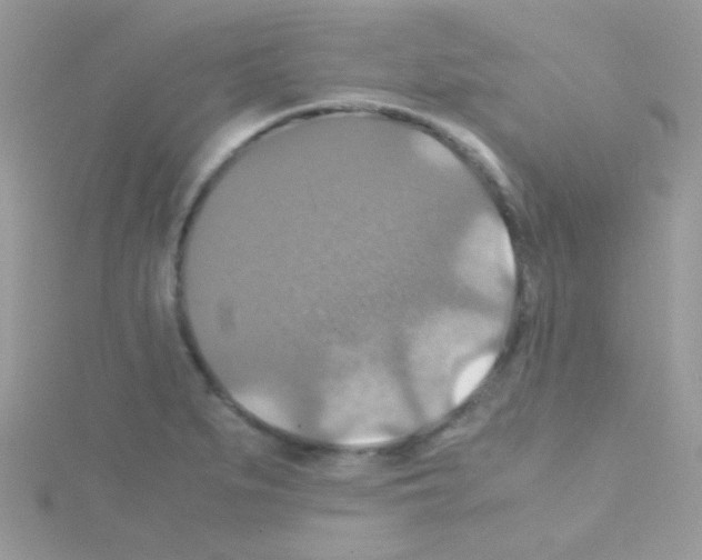 X0000114391279200911271451