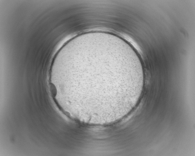 X0000114391282200911271451