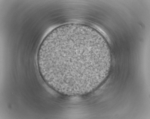 X0000114391283200911271451