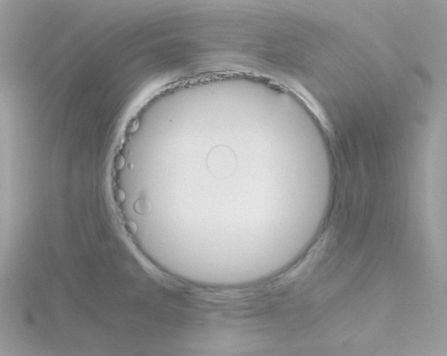 X0000114391285200911271451