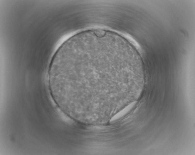 X0000114391287200911271451