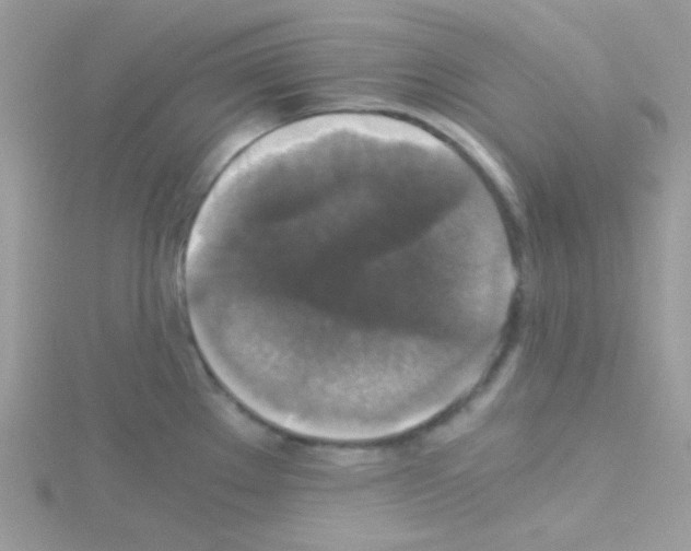 X0000114391289200911271451