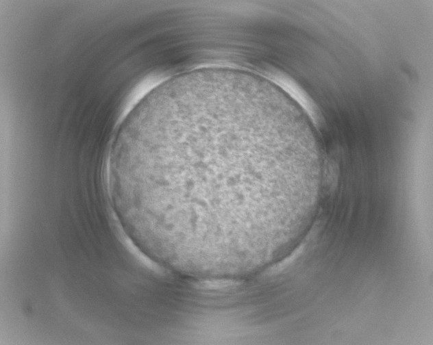 X0000114391290200911271451