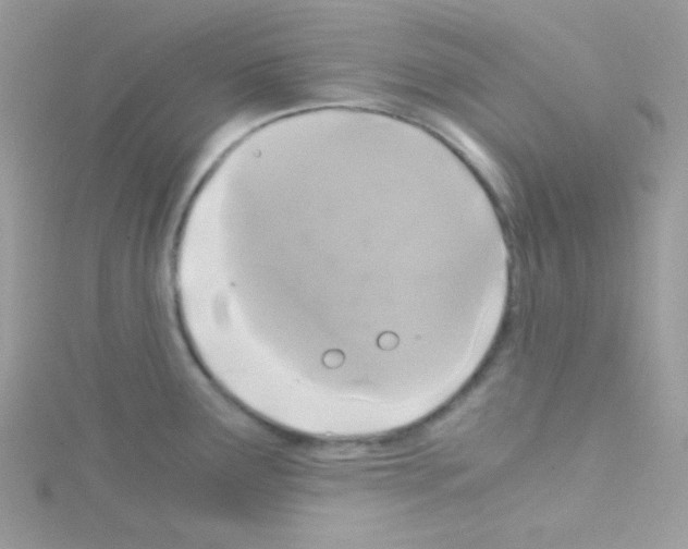 X0000114391291200911271451