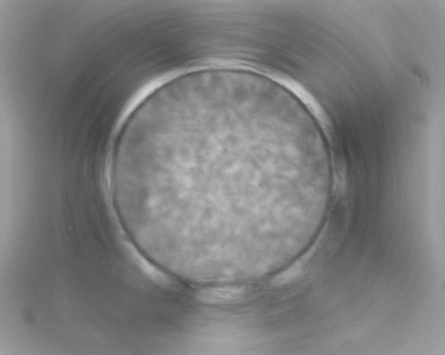 X0000114391294200911271451