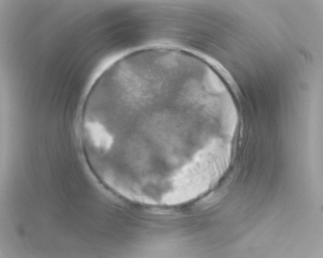 X0000114391295200911271451