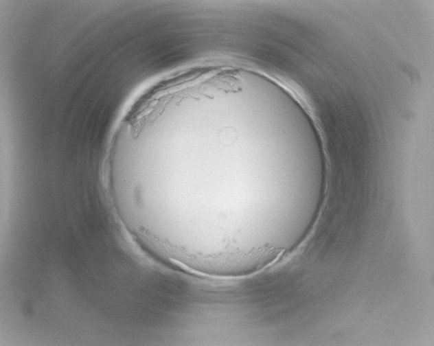 X0000114391296200911271451