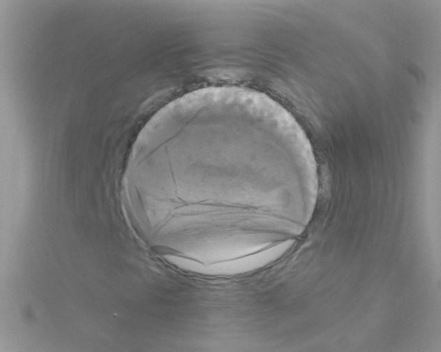 X0000114391297200911271450