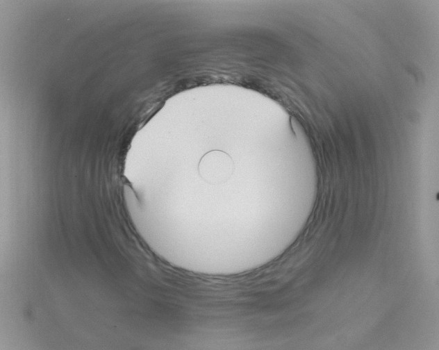 X0000114391298200911271450