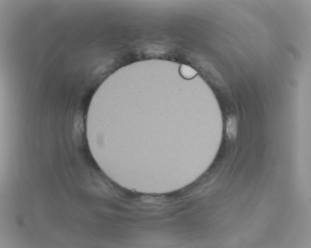 X0000114391299200911271450