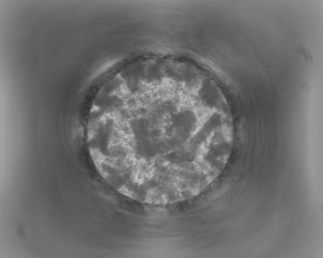 X0000114391302200911271450