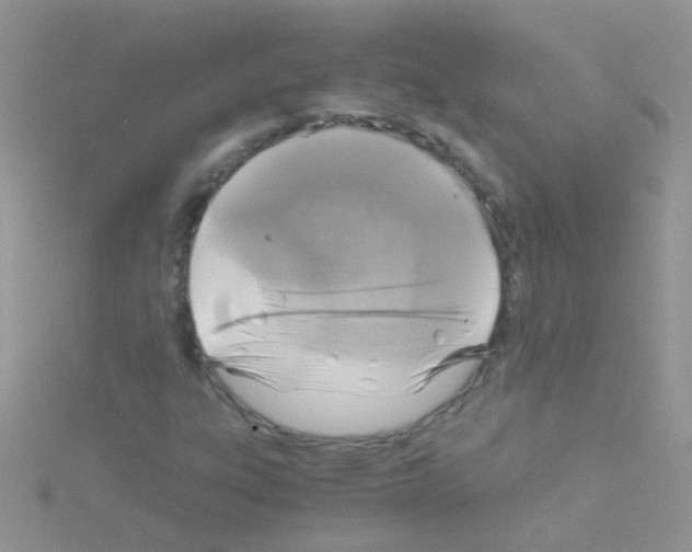 X0000114391303200911271450