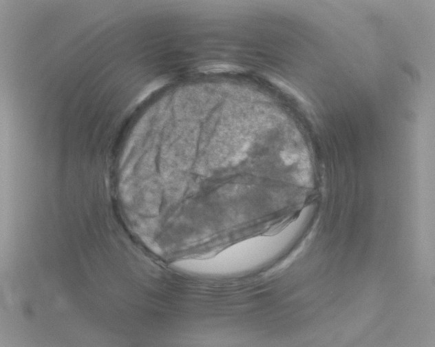 X0000114391305200911271450