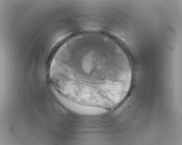 X0000114391306200911271450