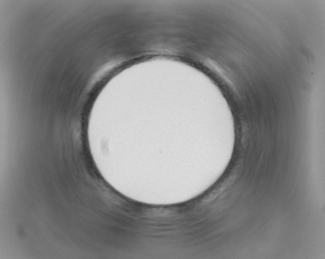 X0000114391307200911271450