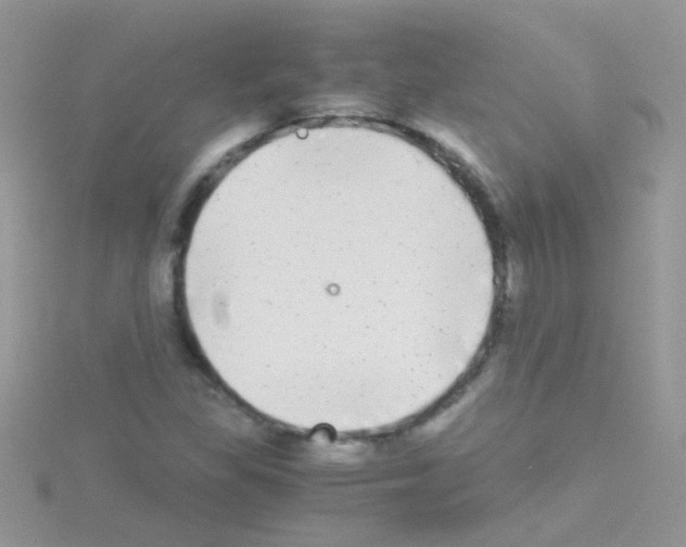 X0000114391309200911271450