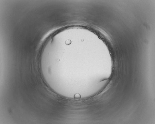 X0000114391310200911271450