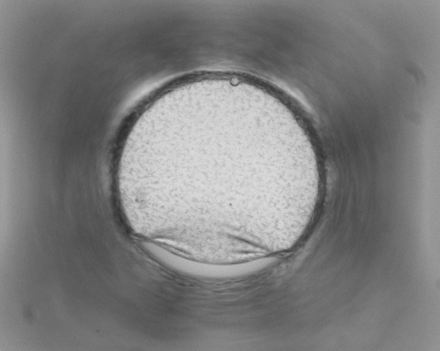 X0000114391311200911271450