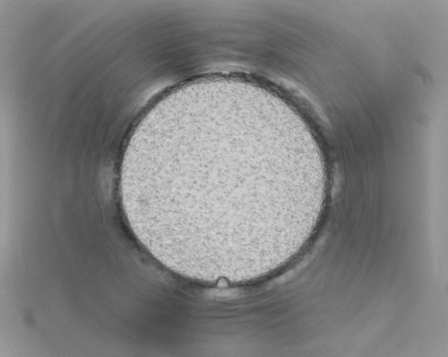 X0000114391313200911271451