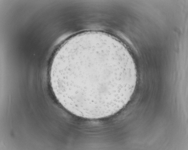 X0000114391315200911271451