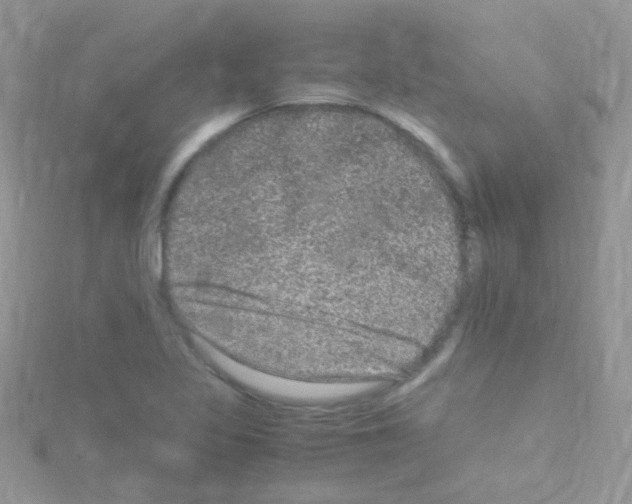 X0000114391317200911271451