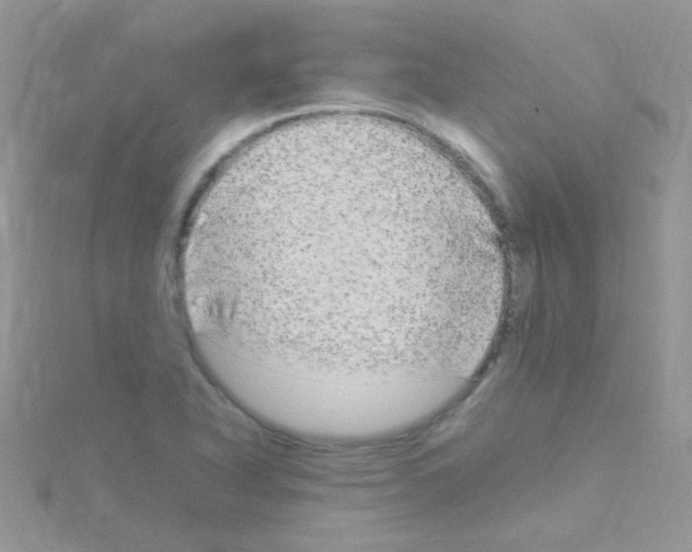 X0000114391318200911271451