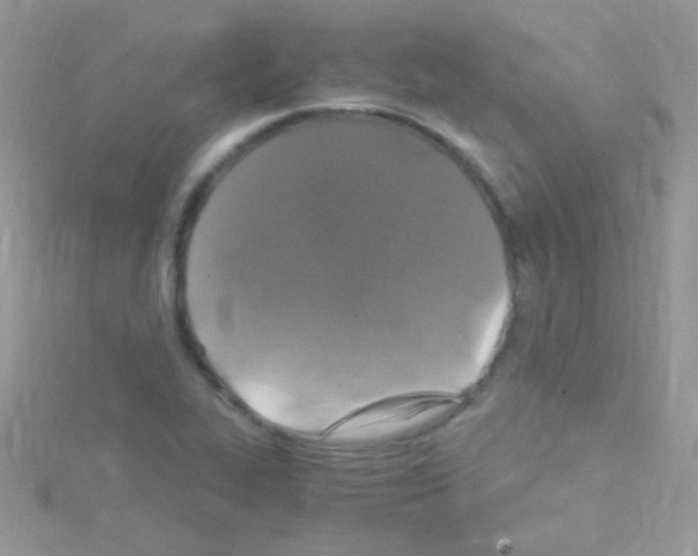 X0000114391319200911271451