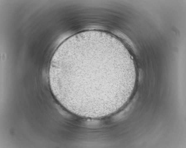 X0000114391321200911271451