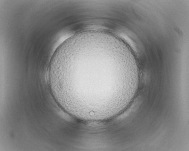 X0000114391322200911271451